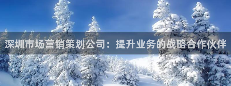 必赢亚赢网站官网下载安装最新版