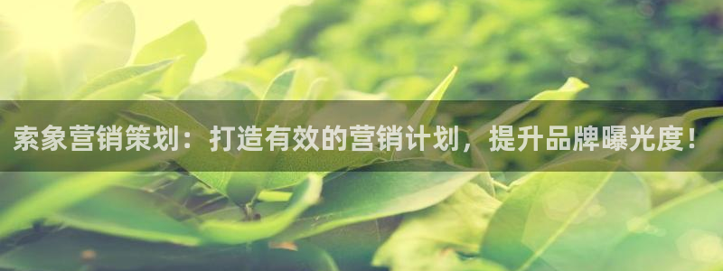 必赢网站网址是多少