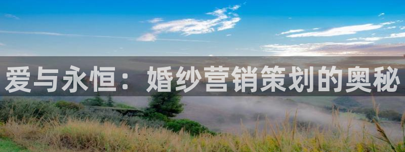 必赢亚赢网站官网下载安卓手机