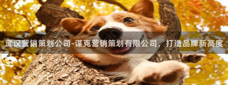 必赢7321取不出钱