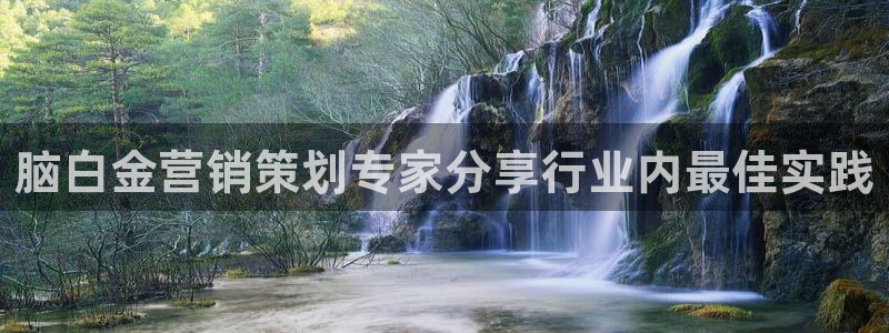 必赢网站是哪一个公司的