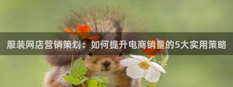 必赢这个软件怎么样啊