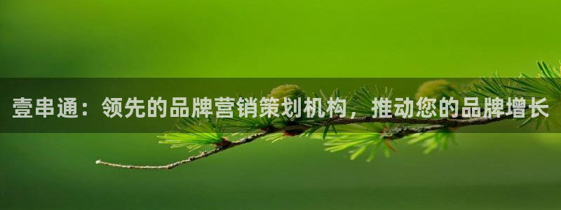 必赢国际的网站多少