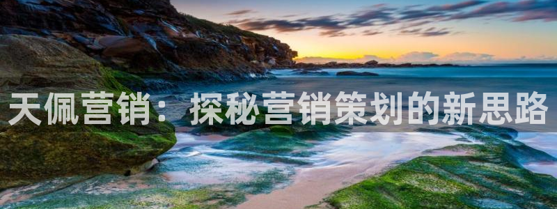必赢官网网站首页下载