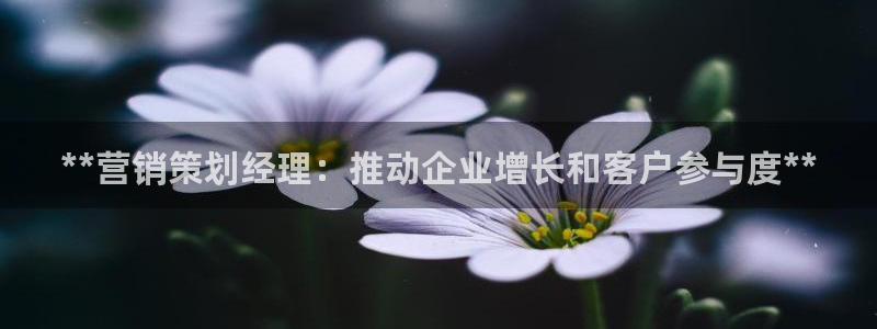 必赢272net手机版-新版app下载