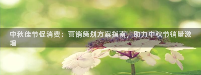 必赢网址