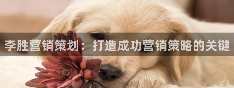 必赢这个平台怎么样啊：李胜营销