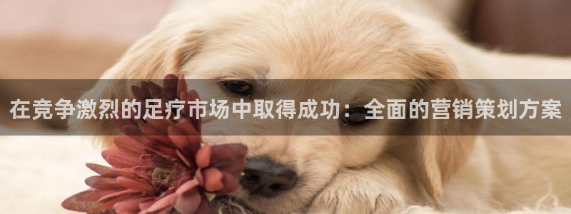 必赢下载ipad：在竞争激烈的