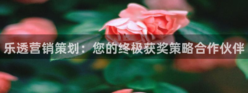 必赢官网入口下载：乐透营销策划