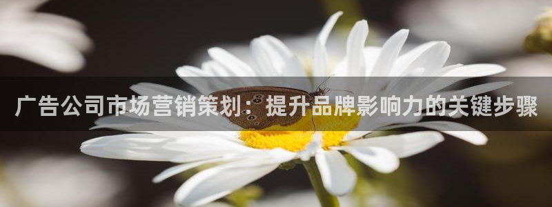 必赢平台怎么样