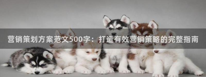 必赢最新：营销策划方案范文50