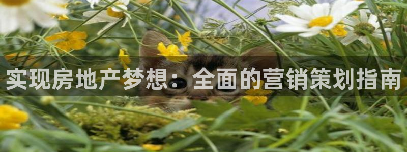 必赢下载软件