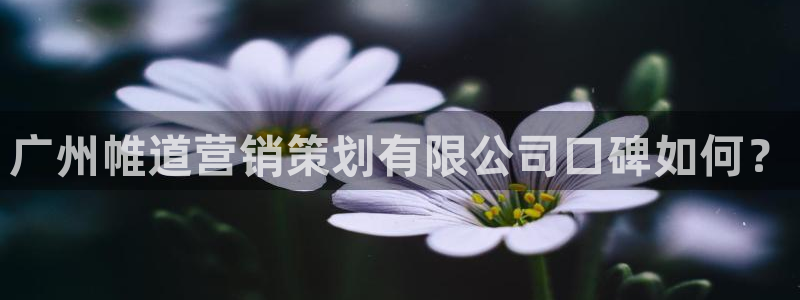 必赢的意思是什么