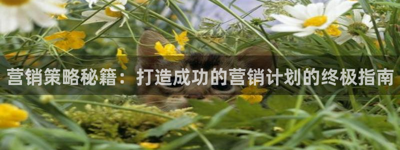 必赢集团网站官网