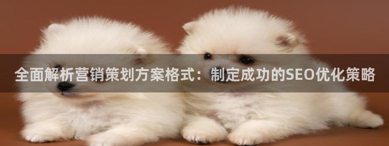 必赢网站有哪些