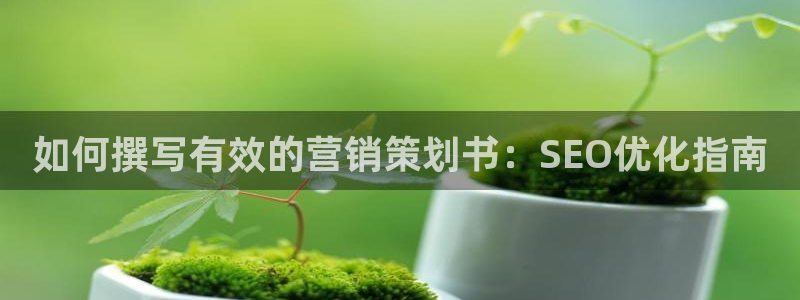 必赢8111e