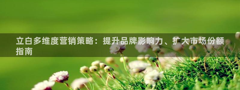 必赢官网下载安装