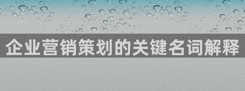 必赢网站是哪一个公司的