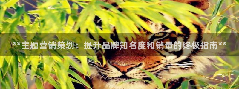 必赢最新