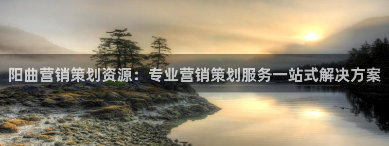必赢国际437网页版