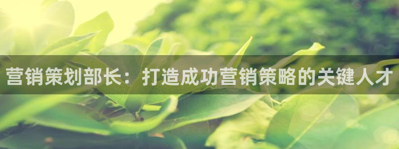 必赢app官方
