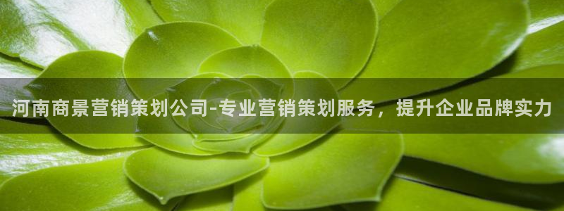 必赢手机app下载安装最新版：
