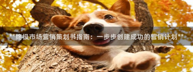 必赢官网app下载安装手机版最新版