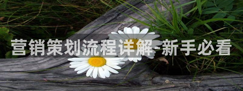 必赢亚赢网站官网下载安装手机版
